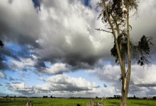 足球比分旧版新浪有哪些特点和回忆?